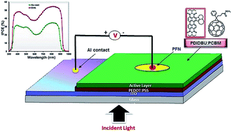 Graphical abstract: NIR absorbing ortho-π-extended perylene bisimide as a promising material for bulk heterojunction organic solar cells
