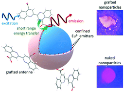 Graphical abstract: Lighting up Eu3+ luminescence through remote sensitization in silica nanoarchitectures