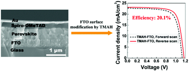 Graphical abstract: Facile fabrication of highly efficient ETL-free perovskite solar cells with 20% efficiency by defect passivation and interface engineering