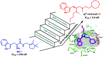 Graphical abstract: Tryptophan-derived butyrylcholinesterase inhibitors as promising leads against Alzheimer's disease