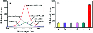 Graphical abstract: A novel fluorescent assay for the ultrasensitive detection of miRNA-21 with the use of G-quadruplex structures as an immobilization material for a signal indicator