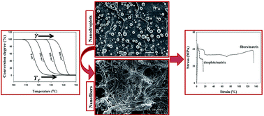 Graphical abstract: In situ generation of sustainable PLA-based nanocomposites by shear induced crystallization of nanofibrillar inclusions