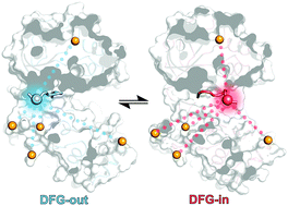 Graphical abstract: Conformational selection vs. induced fit: insights into the binding mechanisms of p38α MAP Kinase inhibitors