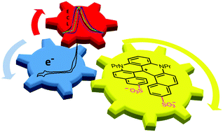 Graphical abstract: Near-infrared electrochemiluminescence in water through regioselective sulfonation of diaza [4] and [6]helicene dyes