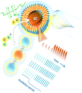 Graphical abstract: Microfluidic compartmentalization of diffusively coupled oscillators in multisomes induces a novel synchronization scenario