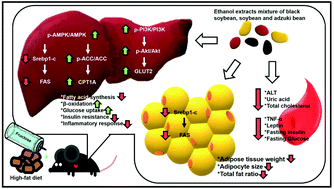 Graphical abstract: A multi-targeting strategy to ameliorate high-fat-diet- and fructose-induced (western diet-induced) non-alcoholic fatty liver disease (NAFLD) with supplementation of a mixture of legume ethanol extracts