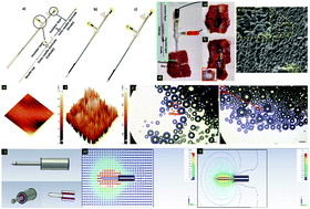 Graphical abstract: Nanoporous platinum needle for cancer tumor destruction by EChT and impedance-based intra-therapeutic monitoring