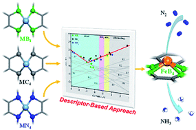 Graphical abstract: The rational design of single-atom catalysts for electrochemical ammonia synthesis via a descriptor-based approach