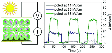 Graphical abstract: Visible-light photovoltaic effect in high-temperature ferroelectric BaFe4O7