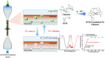 Graphical abstract: Optical microfiber sensor for detection of Ni2+ ions based on ion imprinting technology