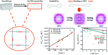 Graphical abstract: Verification of thermodynamic theories of strain-induced polymer crystallization