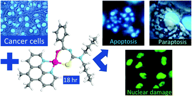 Graphical abstract: Synthesis and evaluation of the anticancer activity of [Pt(diimine)(N,N-dibutyl-N′-acylthiourea)]+ complexes