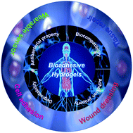 Graphical abstract: A review of the properties and applications of bioadhesive hydrogels