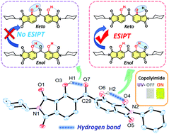 Graphical abstract: Large-Stokes-shifted yellow photoluminescence emission from an imide and polyimides forming multiple intramolecular hydrogen bonds