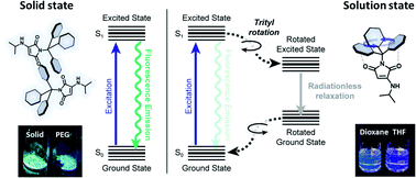 Graphical abstract: Rigidochromism by imide functionalisation of an aminomaleimide fluorophore