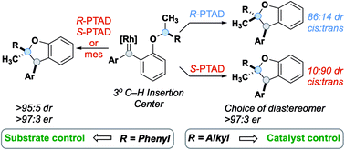 Graphical abstract: Divergent stereochemical outcomes in the insertion of donor/donor carbenes into the C–H bonds of stereogenic centers