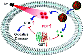Graphical abstract: Carrier-free nanomedicine for enhanced photodynamic tumor therapy through glutathione S-transferase inhibition