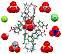 Graphical abstract: Selective recognition and extraction of arsenate by a urea-functionalized tripodal receptor from competitive aqueous media