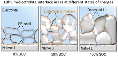 Graphical abstract: Stability of solid electrolyte interphases and calendar life of lithium metal batteries