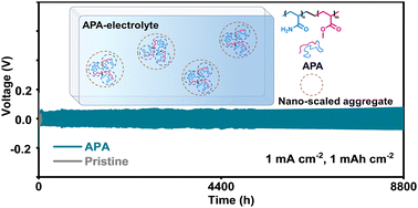 Graphical abstract: Nano-scaled hydrophobic confinement of aqueous electrolyte by a nonionic amphiphilic polymer for long-lasting and wide-temperature Zn-based energy storage