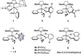 Graphical abstract: Synthesis and catalysis of a Z-stereoretentive ruthenium carbene catalyst chelated by 2,4,5,7-tetrachloro-1,8-dimercaptonaphthalene for olefin metathesis