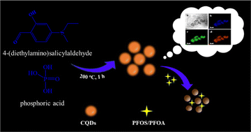 Graphical abstract: One-pot hydrothermal synthesis of high quantum yield orange-emitting carbon quantum dots for sensitive detection of perfluorinated compounds