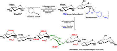 Graphical abstract: Facile chemoenzymatic synthesis of unmodified anticoagulant ultra-low molecular weight heparin