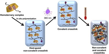Graphical abstract: Photo- and thermo-responsive supramolecular polymer networks via in situ polymerization using homoternary macrocyclic host with coumarin monomers in water