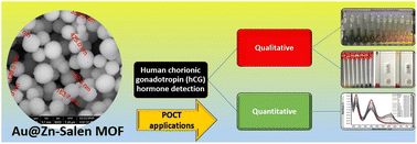 Graphical abstract: A novel test device and quantitative colorimetric method for the detection of human chorionic gonadotropin (hCG) based on Au@Zn–salen MOF for POCT applications