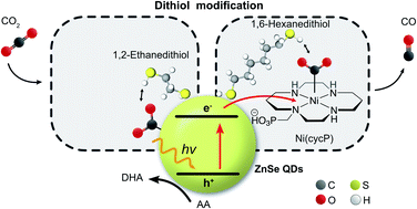 Graphical abstract: Tuning the local chemical environment of ZnSe quantum dots with dithiols towards photocatalytic CO2 reduction