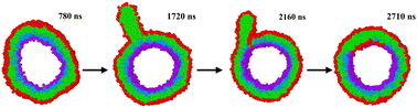 Graphical abstract: Large stress asymmetries of lipid bilayers and nanovesicles generate lipid flip-flops and bilayer instabilities