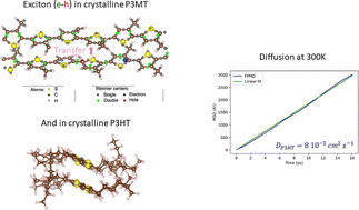 Graphical abstract: Exciton diffusion in poly(3-hexylthiophene) by first-principles molecular dynamics