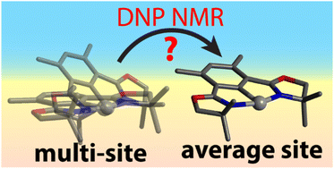 Graphical abstract: On the use of NMR distance measurements for assessing surface site homogeneity