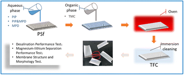 Graphical abstract: The construction of an efficient magnesium–lithium separation thin film composite membrane with dual aqueous-phase monomers (PIP and MPD)