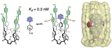 Graphical abstract: Aromatic interactions with heterocycles in water