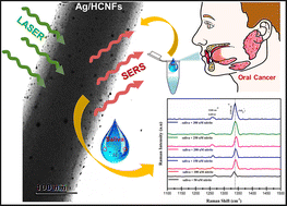 Graphical abstract: Ag nanoisland functionalized hollow carbon nanofibers as a non-invasive, label-free SERS salivary biosensor platform for salivary nitrite detection for pre-diagnosis of oral cancer