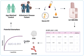 Graphical abstract: A comprehensive view of the molecular features within the serum and serum EV of Alzheimer's disease