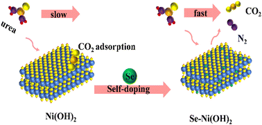 Graphical abstract: Se self-doped Ni(OH)2 for an efficient urea oxidation reaction