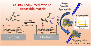 Graphical abstract: Electrochemically grafted gallic acid-chitosan: a metal-free in situ redox platform for regiospecific oligopeptide-viral spike protein interaction
