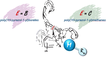 Graphical abstract: Main advances in the application of scorpionate-based catalytic systems for the preparation of sustainable polymers