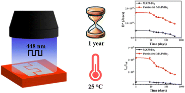 Graphical abstract: Towards a long-term stable MAPbBr3 single crystal-based photoconductor with a high on/off ratio and detectivity