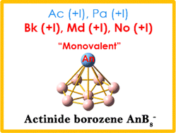 Graphical abstract: AnB8−: borozene complexes with monovalent actinide