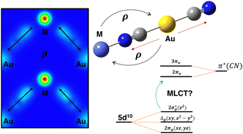 Graphical abstract: A first principles study of the electronic structure and optical response of heterobimetallic M–dicyanoaurate-based coordination polymers (M = Mn, Co, Ni, Zn and Cd)