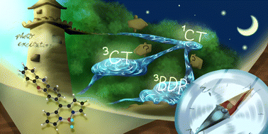 Graphical abstract: The molecular mechanism of the triplet state formation in bodipy-phenoxazine photosensitizer dyads confirmed by ab initio prediction of the spin polarization