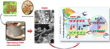 Graphical abstract: Eco-inspired synthesis of MgO-infused g-C3N4 nanocomposites from tulsi seeds for advanced photocatalytic environmental remediation