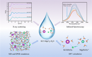 Graphical abstract: Structure and crystallization behavior of aqueous KCl–MgCl2 solutions