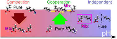 Graphical abstract: Cooperative and competitive effects in pH-dependent surface composition of atmospherically relevant organic ions in water