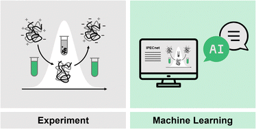 Graphical abstract: IPECnet: ML model for predicting the area of water solubility of interpolyelectrolyte complexes
