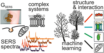 Graphical abstract: SERS microscopy as a tool for comprehensive biochemical characterization in complex samples