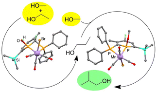 Graphical abstract: Manganese 2-phosphinophosphinine precatalysts for methanol/ethanol upgrading to isobutanol